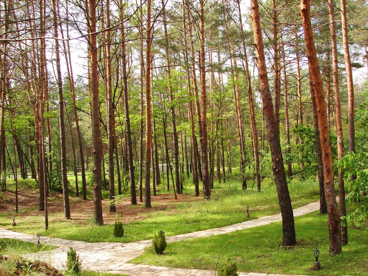 Pershyi Kordon Tourist Complex Hotel Medvedevka Ngoại thất bức ảnh